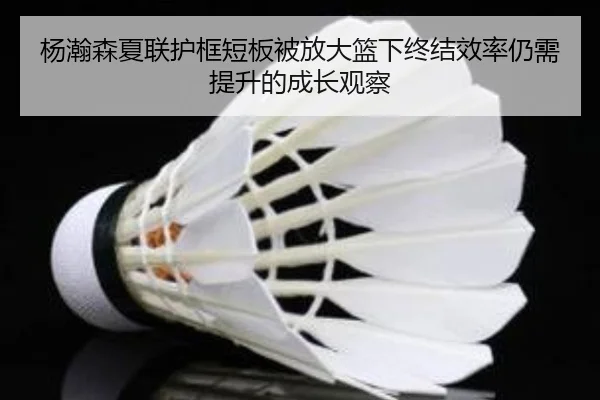 杨瀚森夏联护框短板被放大篮下终结效率仍需提升的成长观察